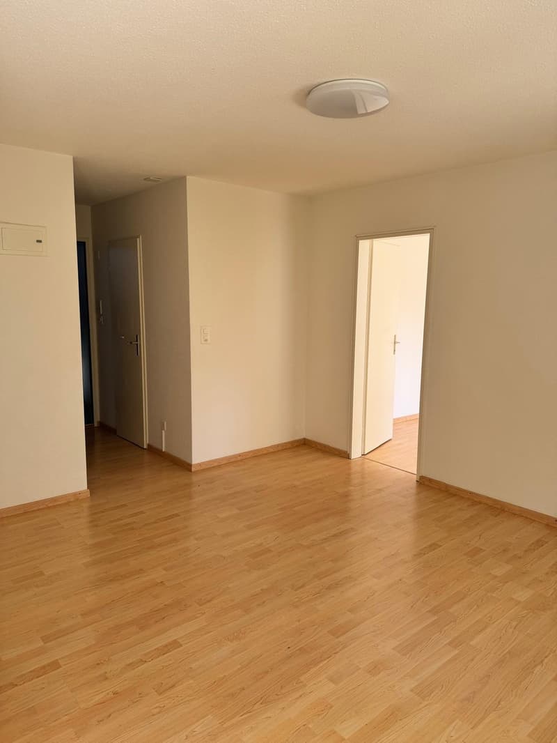 2.5 Zimmerwohnung mit Gartenanteil in Hochfelden per sofort verfügbar (7)