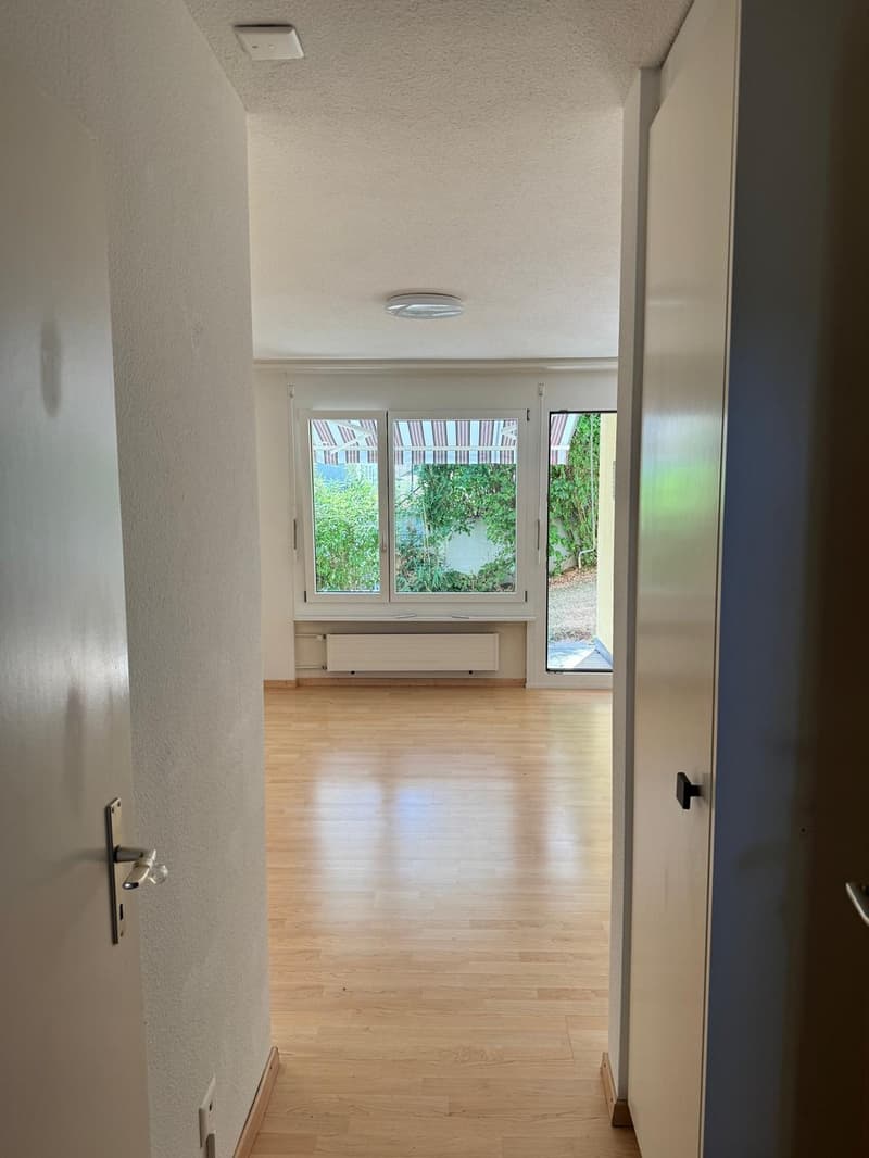 2.5 Zimmerwohnung mit Gartenanteil in Hochfelden per sofort verfügbar (4)