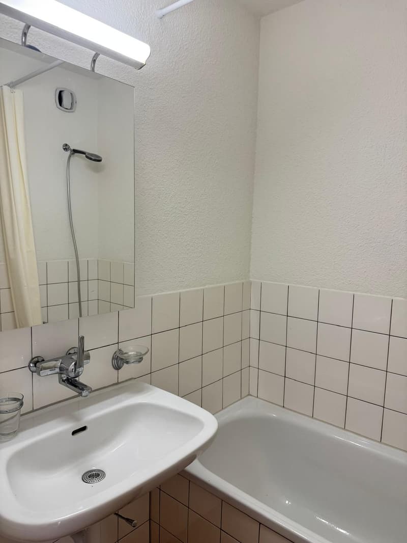 2.5 Zimmerwohnung mit Gartenanteil in Hochfelden per sofort verfügbar (9)