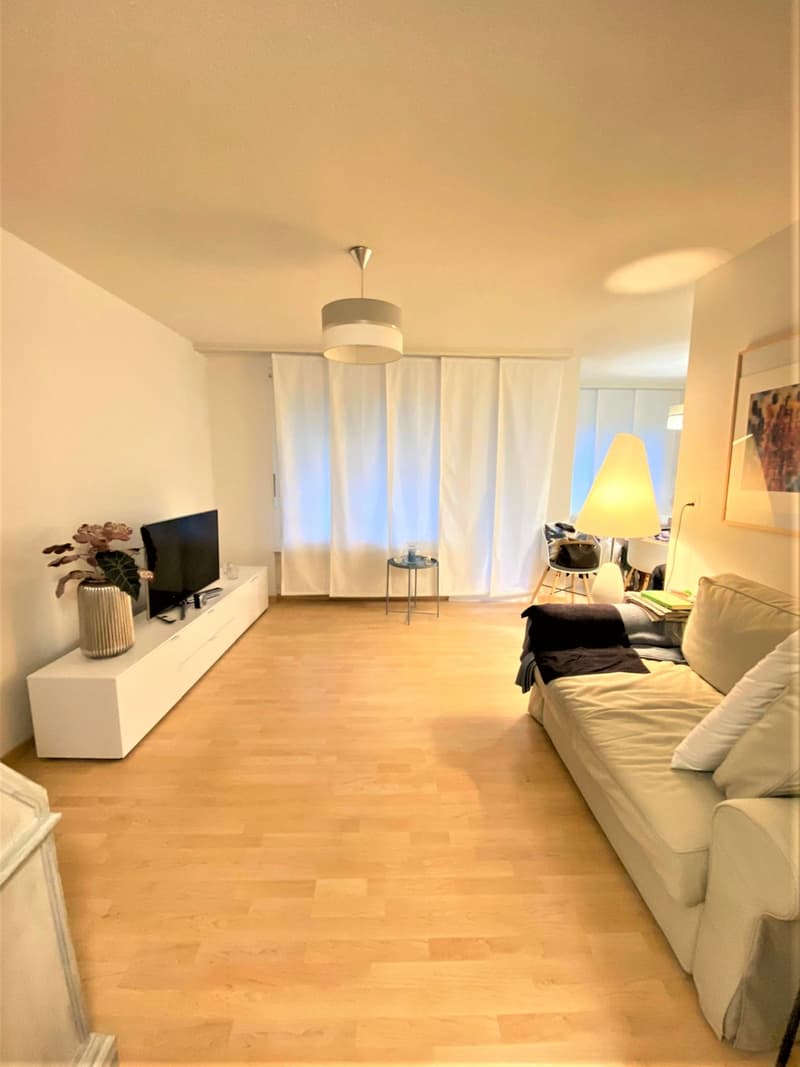 2.5 Zimmerwohnung mit Gartenanteil in Hochfelden per sofort verfügbar (1)