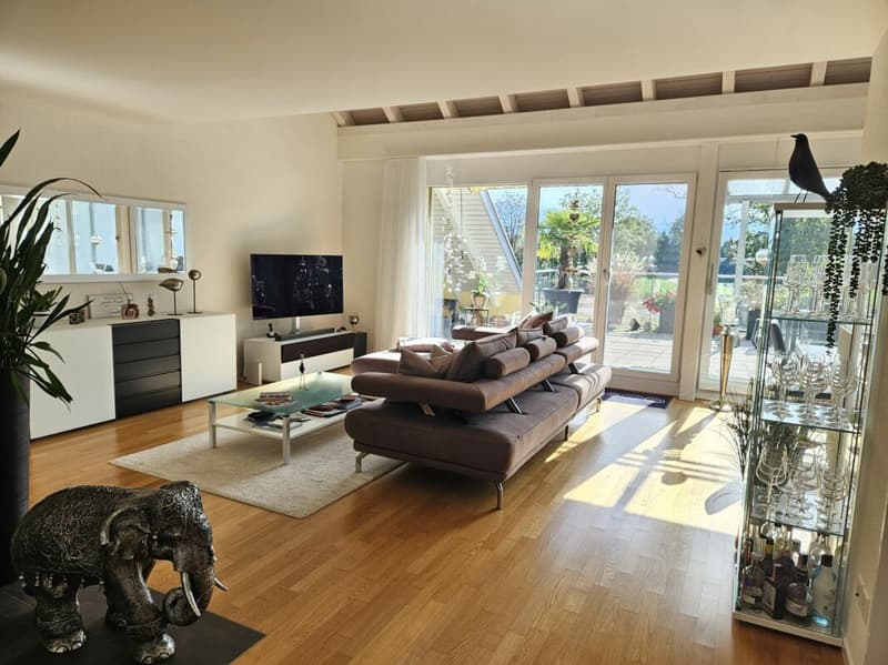 Nachmieter gesucht für schöne 3.5-Zi. Attika-Maisonette-Wohnung mit grosser Terrasse (2)