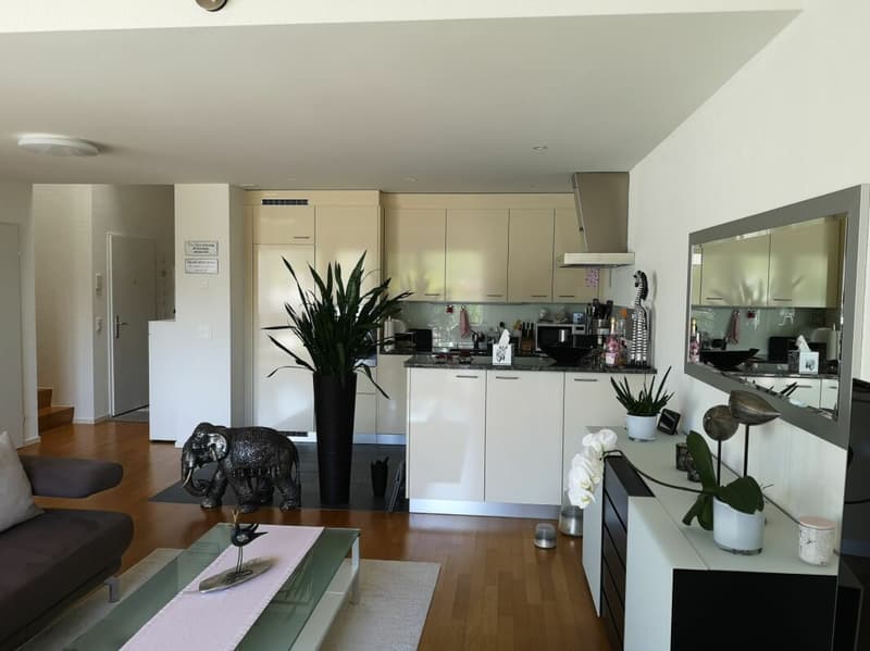 Nachmieter gesucht für schöne 3.5-Zi. Attika-Maisonette-Wohnung mit grosser Terrasse (3)