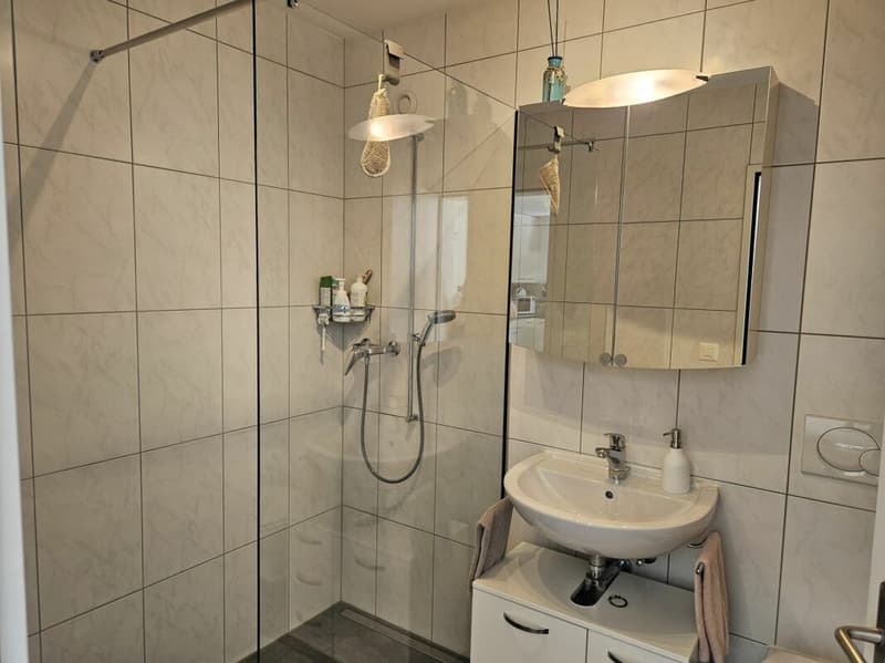 Nachmieter gesucht für schöne 3.5-Zi. Attika-Maisonette-Wohnung mit grosser Terrasse (9)