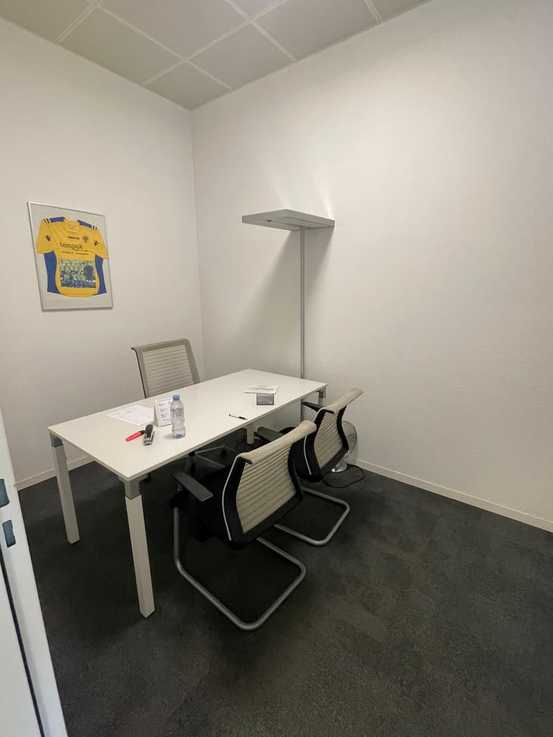 Attraktive Gewerbefläche mit sep. Lager und 10 Einstellplätzen (5)