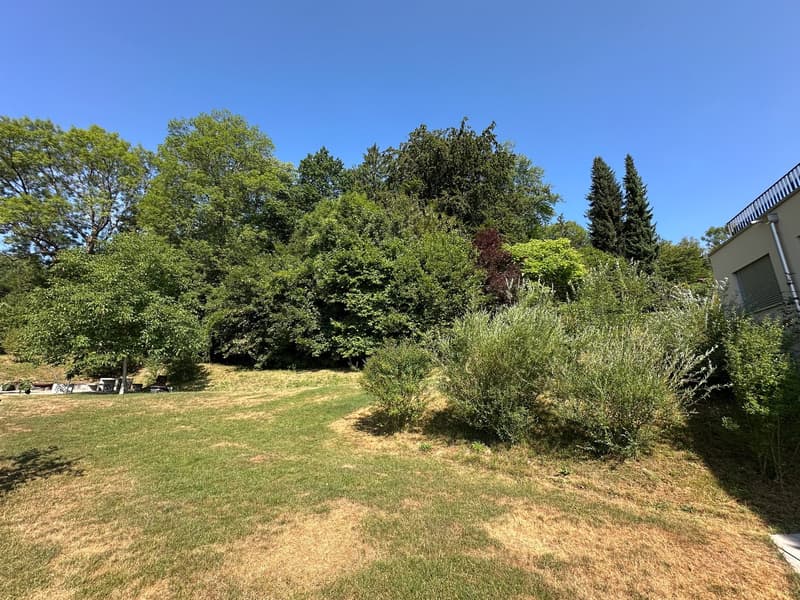 Direkt neben Aarau, in Rombach, an idyllischer Lage mit wunderschöner Aussicht (22)