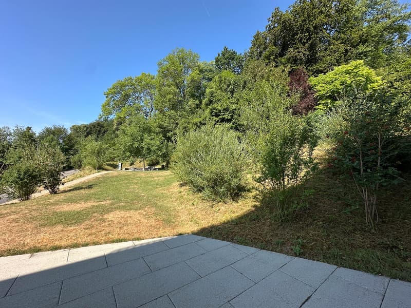 Direkt neben Aarau, in Rombach, an idyllischer Lage mit wunderschöner Aussicht (21)