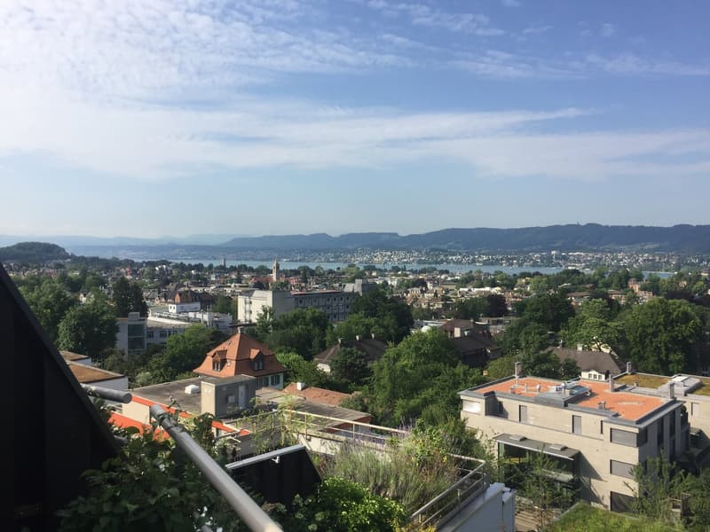 Wohnen über den Dächern von Zürich mit Seeblick (1)