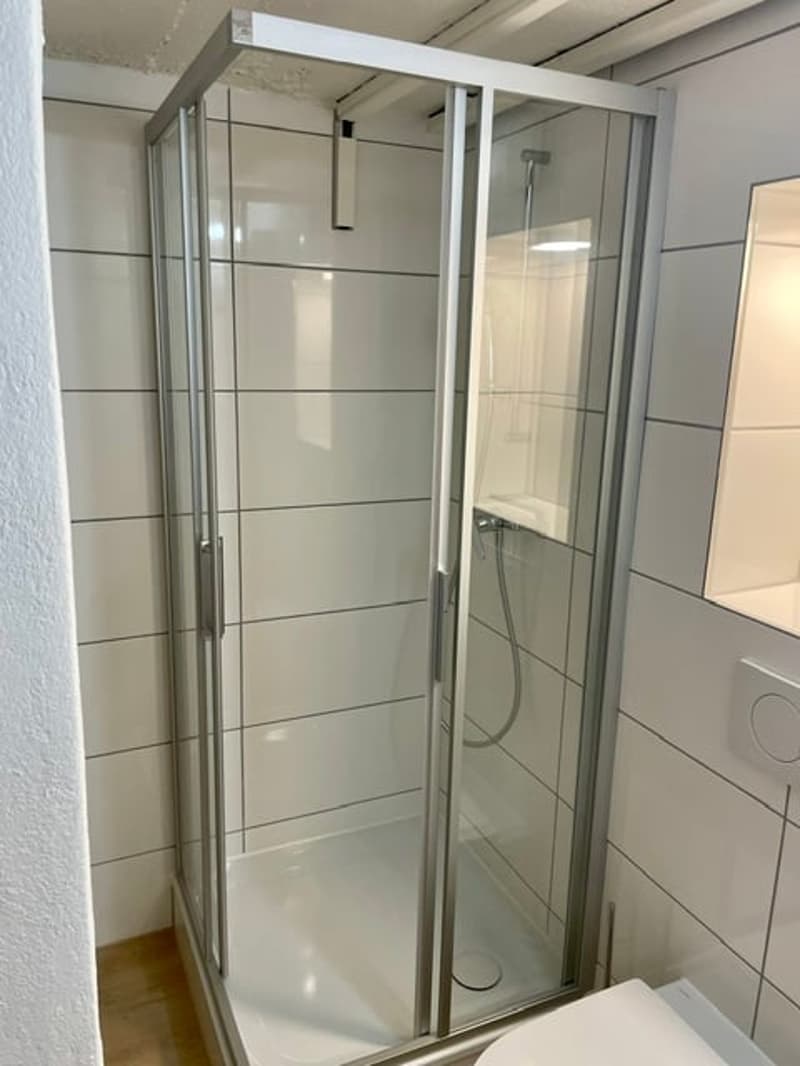 Attraktive Gewerbe- / Atelierfläche am Milchbuck (6)