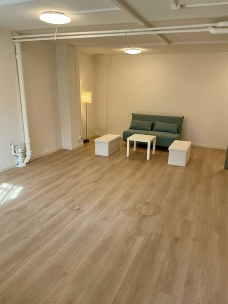 Attraktive Gewerbe- / Atelierfläche am Milchbuck (4)