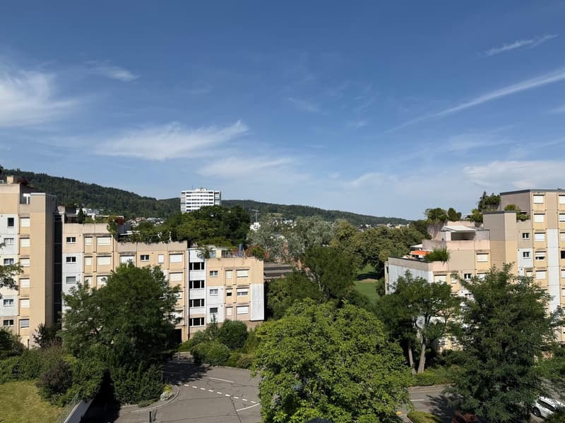 Helle 5-Zimmerwohnung an ruhiger und zentraler Lage in Zürich-Albisrieden (3)