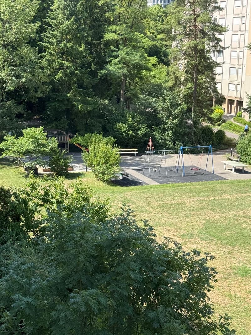 Helle 5-Zimmerwohnung an ruhiger und zentraler Lage in Zürich-Albisrieden (5)