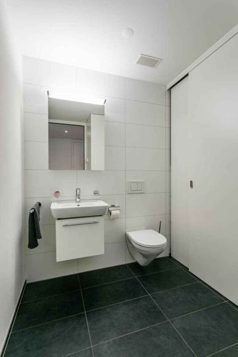 Sehr zentrale und moderne 2.5-Zimmer-Wohnung (5)