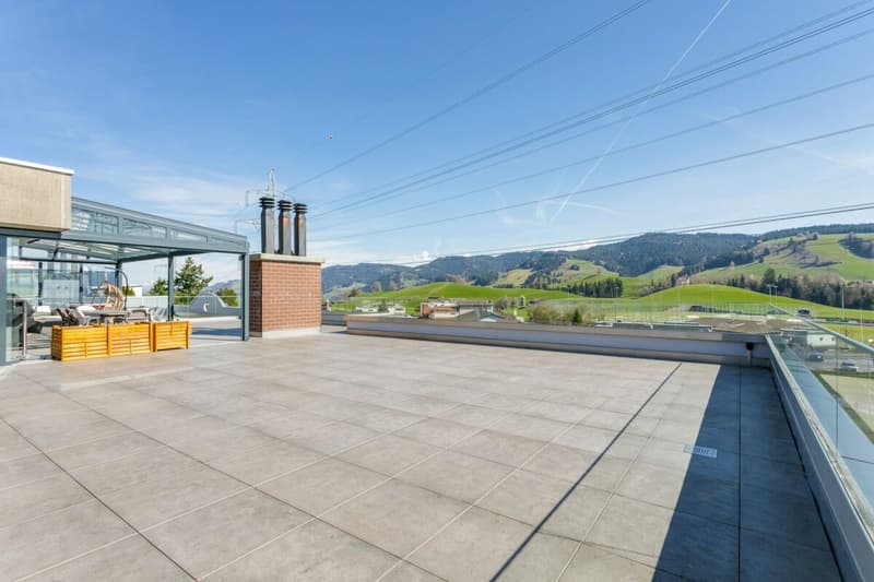 Wohnen mit Weitsicht: 7.5-Zimmer-Terrassenhaus mit Panorama-Terrasse (9)