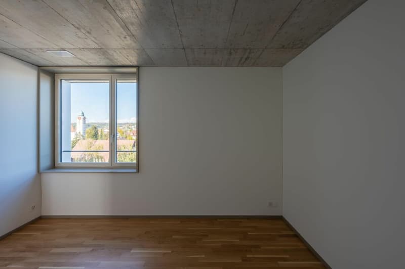 Grosszügige 4.5-Zimmer-Wohnung im Lindenpark (4)