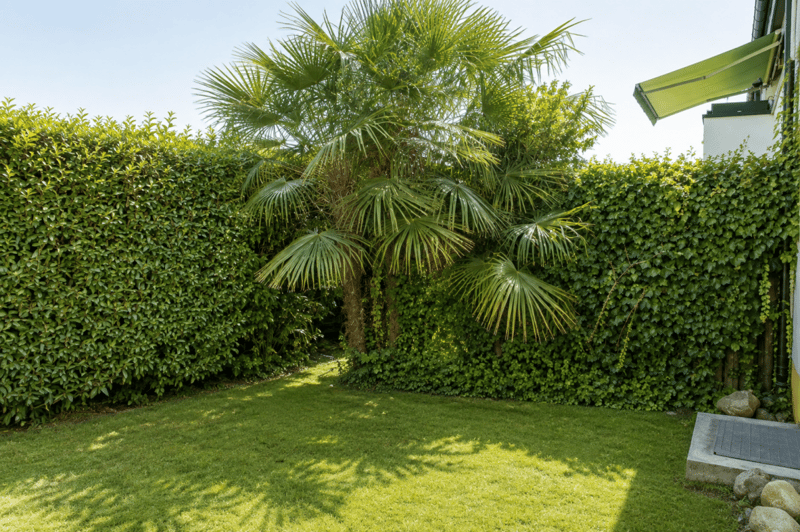 Jetzt besichtigen: Stilvoll sanierte Gartenwohnung in Herrliberg (9)