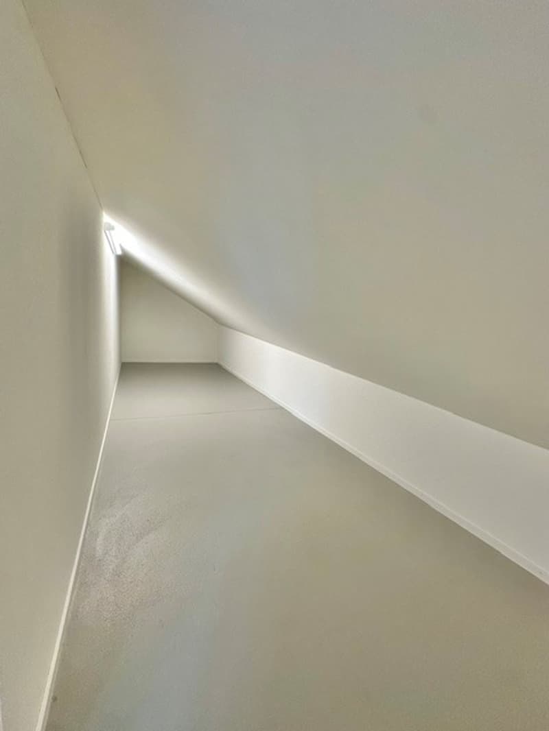3½-Zimmer-Attikawohnung | Neubau (12)