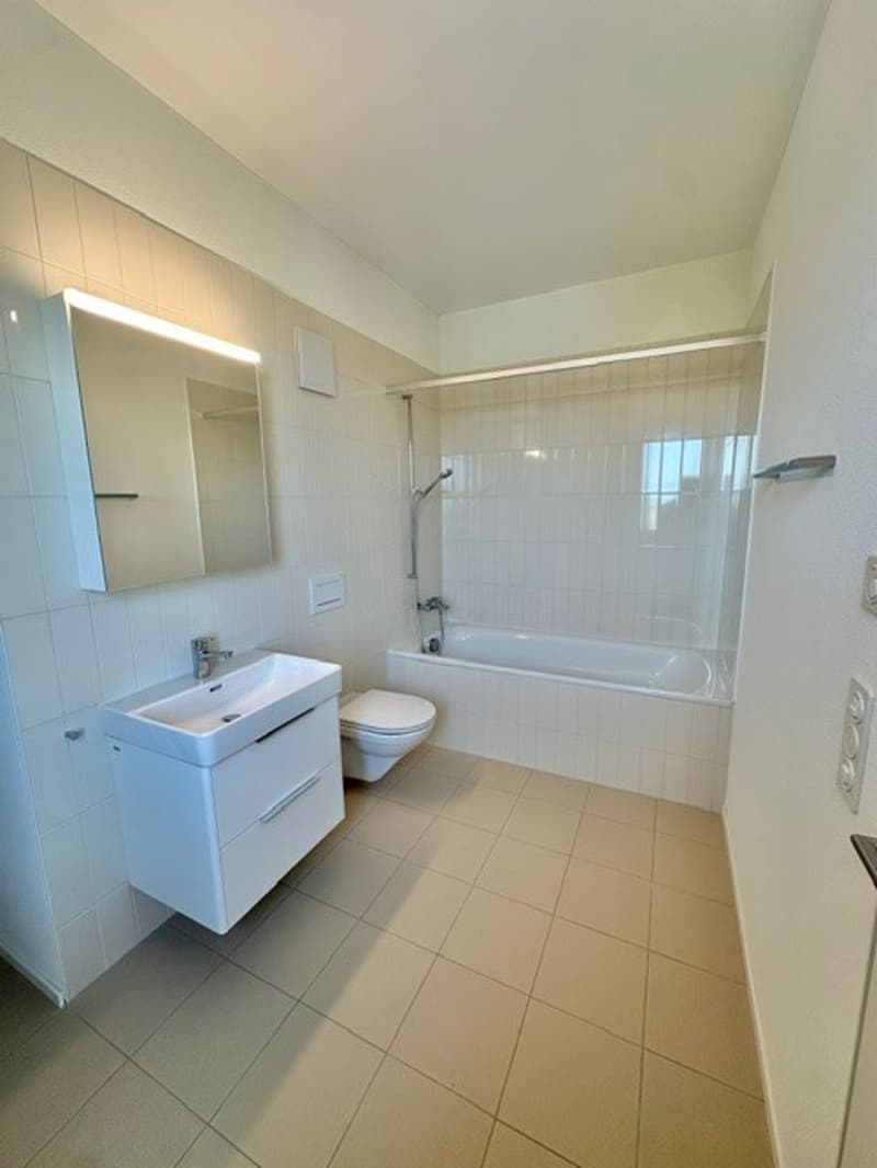3½-Zimmer-Attikawohnung | Neubau (10)