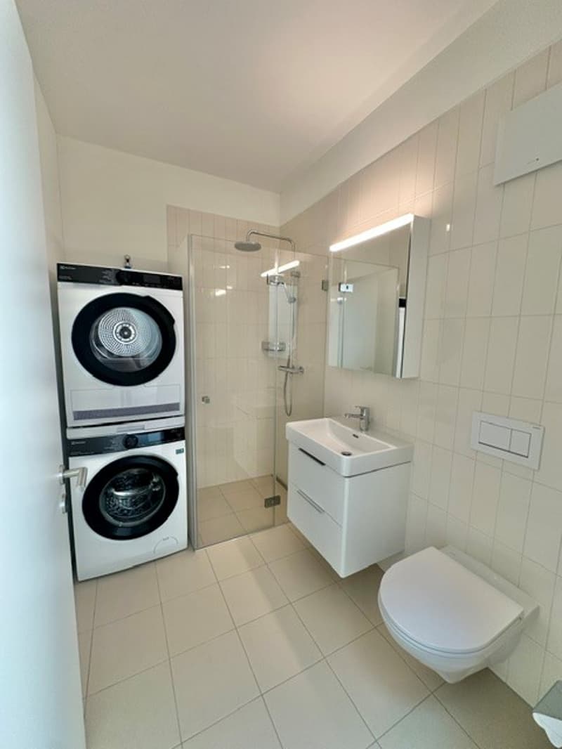 3½-Zimmer-Attikawohnung | Neubau (11)
