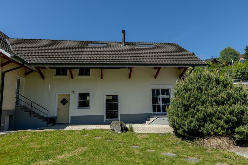 Aussenbereich Anbau Loft