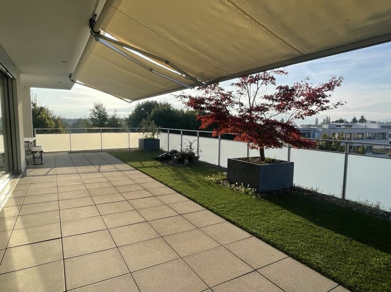 Grosszügige Terrasse