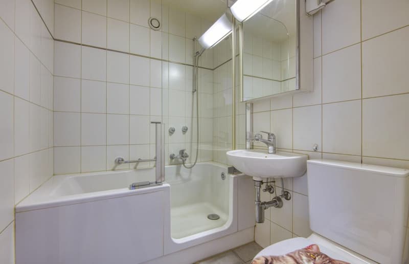 Sonne und Stadtnähe: 3½-ZIMMER-WOHNUNG (EHEMALS 4.5ZI.) AN BELIEBTER LAGE (8)