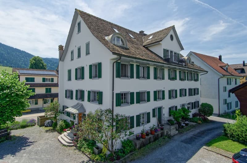 3.5-Zimmer-Wohnung: Leben mit Charakter und Charme in historischem Haus (4)