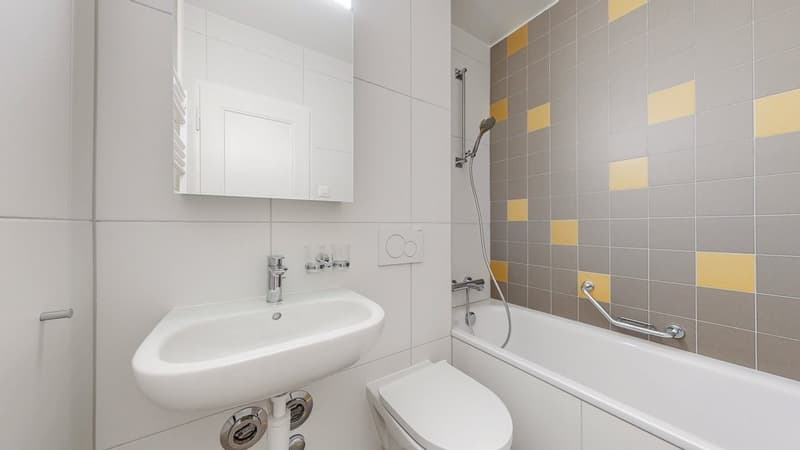 App-2-Zi-Chaux-de-Fonds-Salle-de-Bains.JPG_P013864421.JPG
