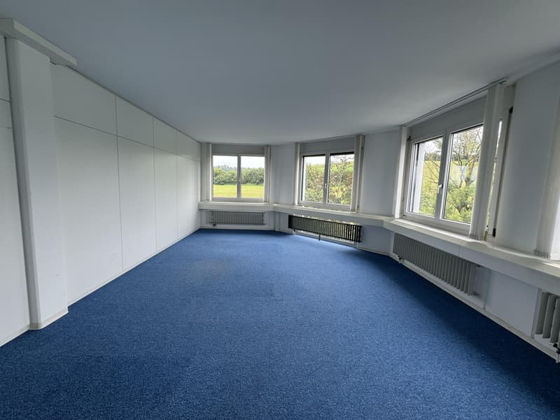 Geräumige Büro- und Gewerbefläche zu vermieten (7)