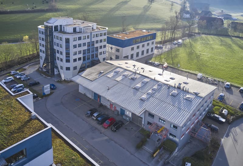 Geräumige Büro- und Gewerbefläche zu vermieten (1)
