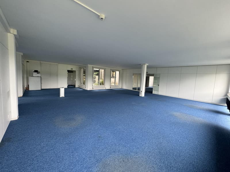 Geräumige Büro- und Gewerbefläche zu vermieten (8)