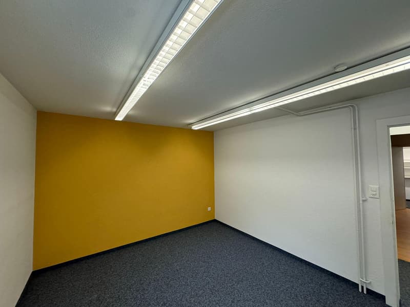 Gewerbefläche in Gossau (3)