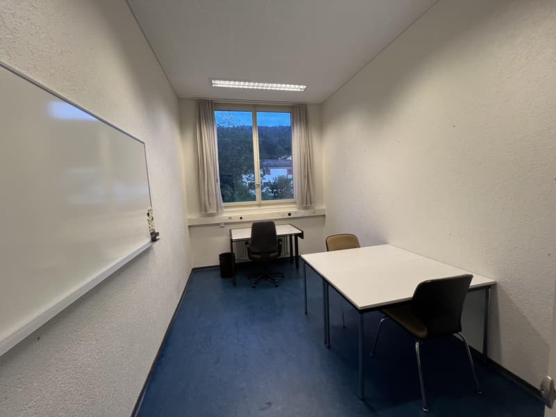 Gewerbeflächen in Balsthal zu attraktiven Konditionen (9)