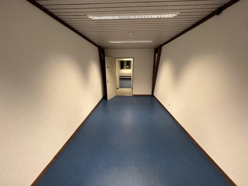 Gewerbeflächen in Balsthal zu attraktiven Konditionen (11)