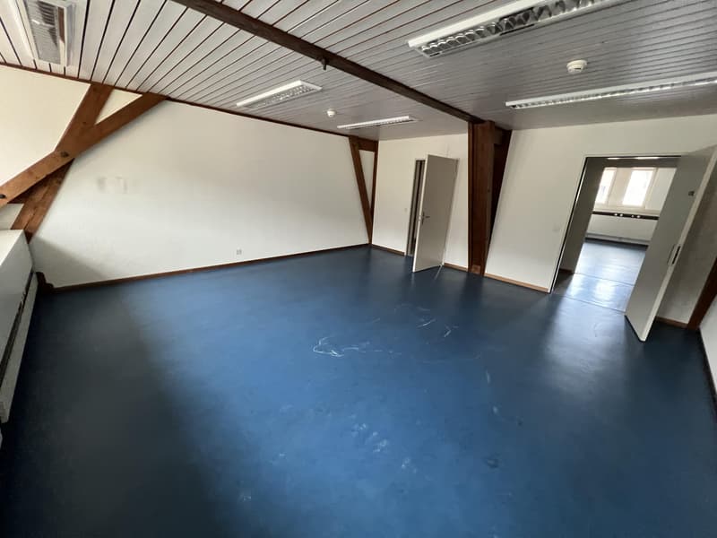 Gewerbeflächen in Balsthal zu attraktiven Konditionen (13)