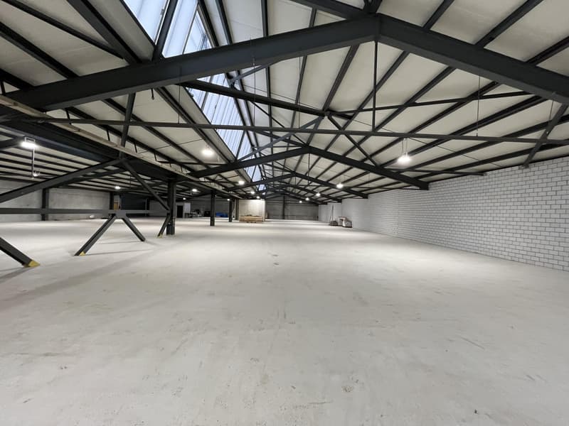 Zentrale Lager- und Produktionsflächen (6)