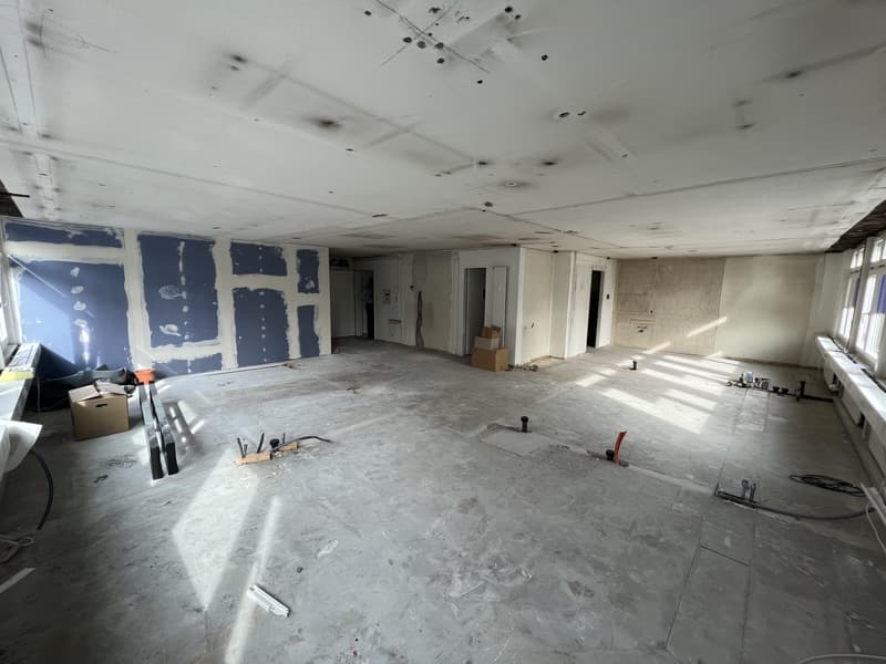 Zentrale Fläche mit Potenzial zu vermieten (10)