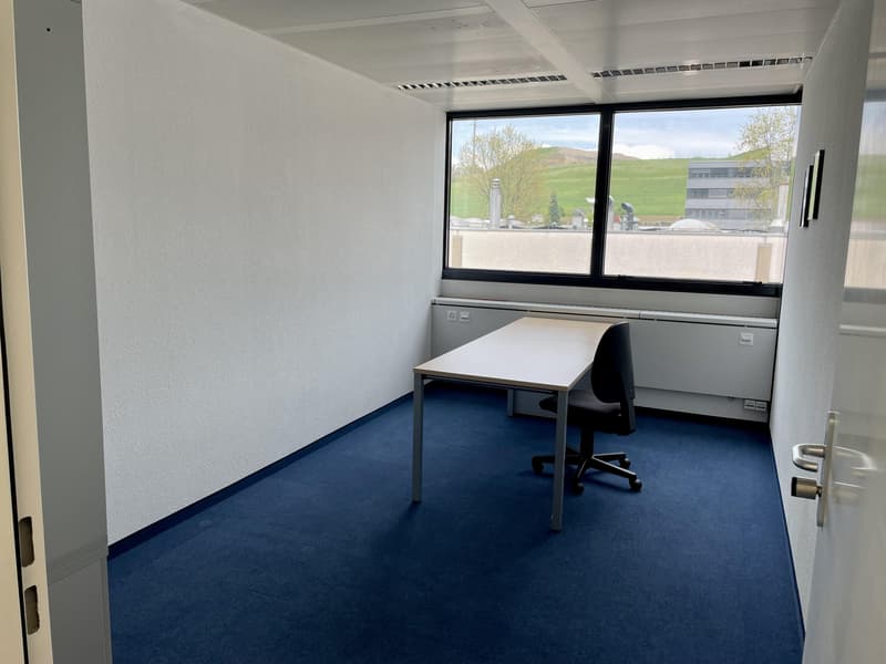 Gewerbe in Baar zu vermieten (8)