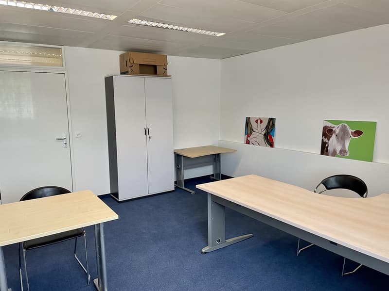 Gewerbe in Baar zu vermieten (11)