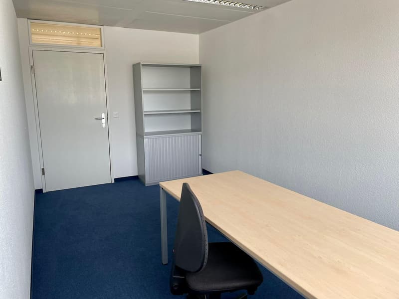 Gewerbe in Baar zu vermieten (6)