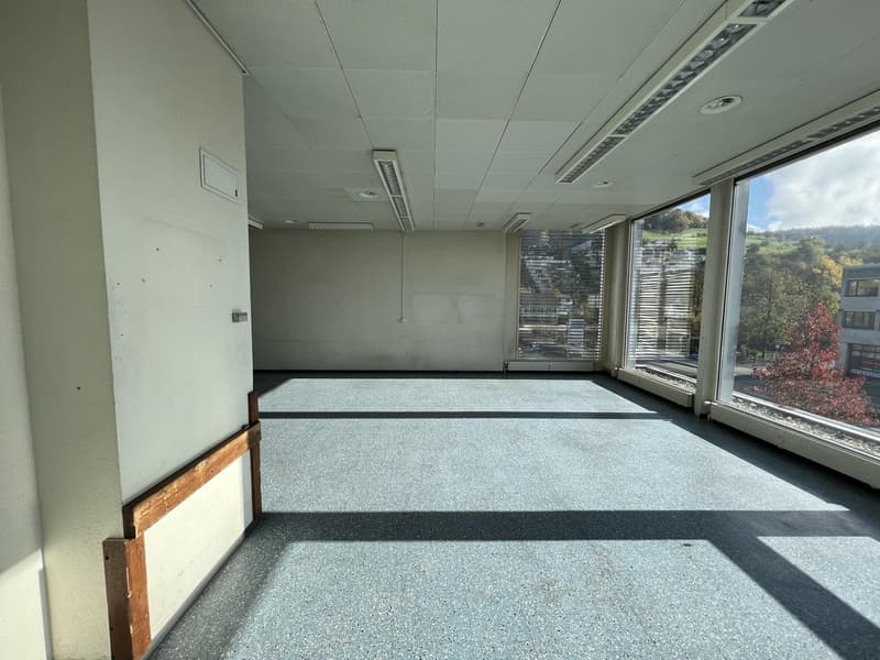 Zentrale Gewerbefläche zu vermieten (8)