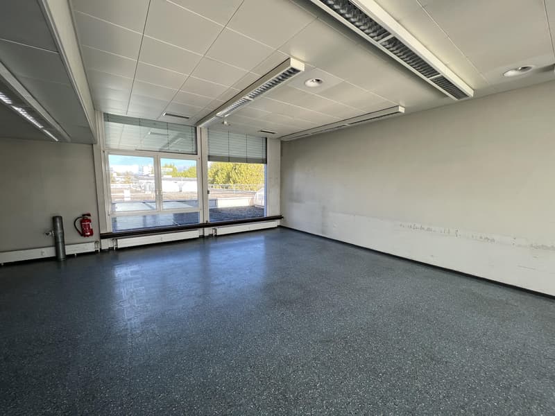 Zentrale Gewerbefläche zu vermieten (4)