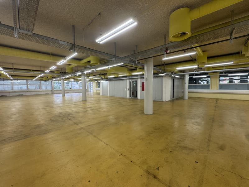 Attraktive Lager/-Gewerbefläche in Solothurn zu vermieten (3)