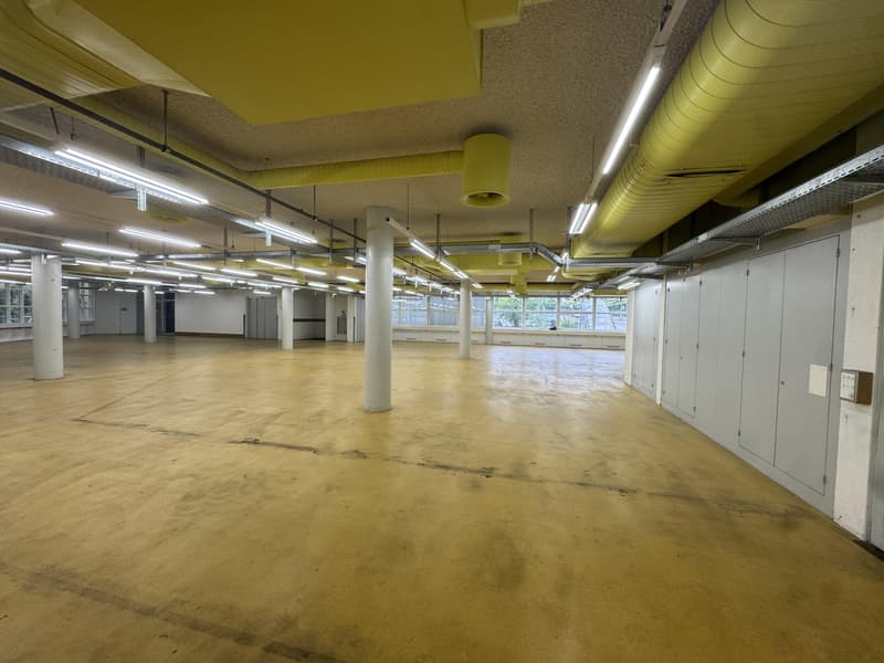 Attraktive Lager/-Gewerbefläche in Solothurn zu vermieten (8)