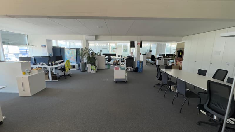 Zentral gelegene Bürofläche zu vermieten (8)