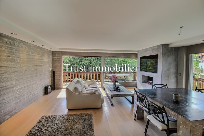 3000. Superbe appartement moderne rénové (11)