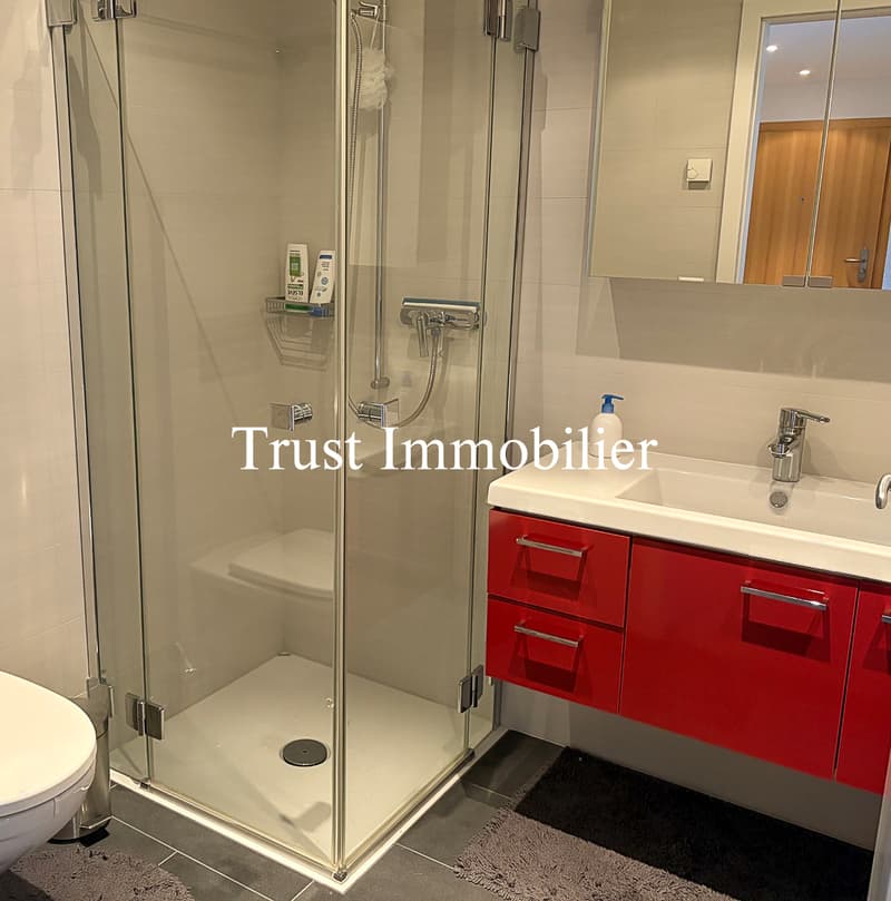 4024. Exclusivité. Superbe appartement de montagne (10)