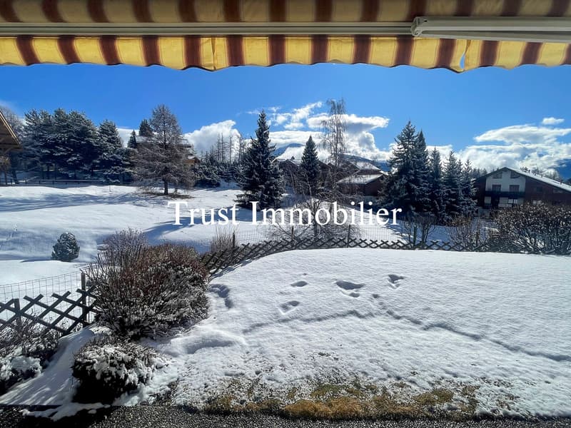 4010L. Votre futur appartement  en rez-de-jardin (2)
