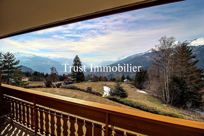 4007. Bel Appartement avec large vue montagnes (8)