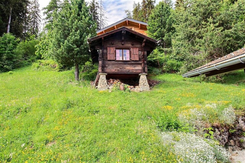 2004M.LA TZOUMAZ.Chalet authentique au coeur des Alpes valaisannes (11)
