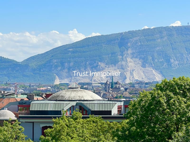 4001. Duplex attique rénové avec vue panoramique - Immeuble moderne (10)